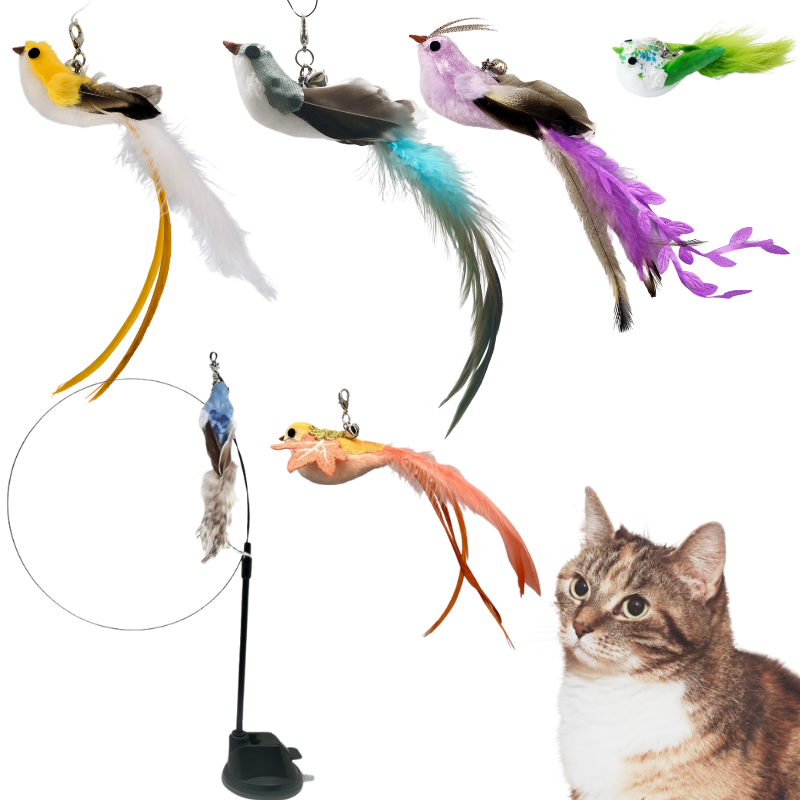 Bird-shape Interactive Cat Toys Simulated Feather Bird Teasing Stick Cat Toy